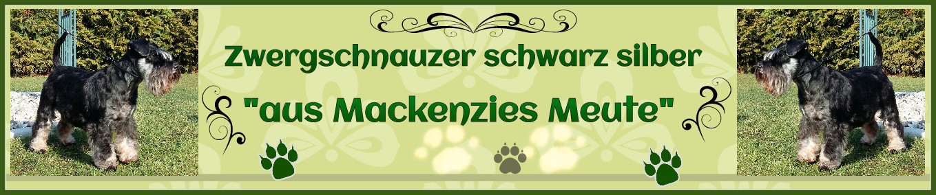 (c) Zwergschnauzer-mackenzies-meute.de